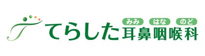 てらした耳鼻咽喉科